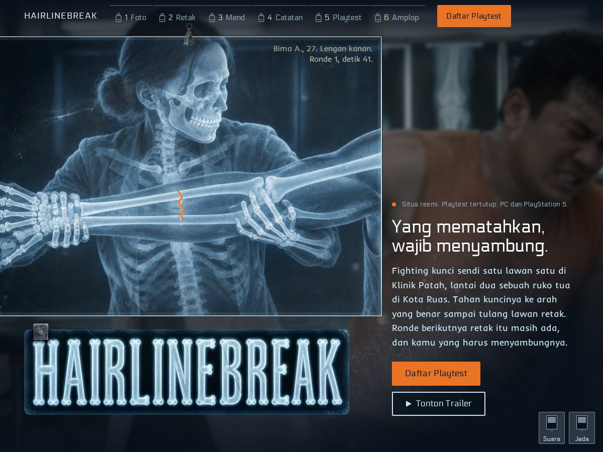 Landing-page snapshot of hairlinebreak.com