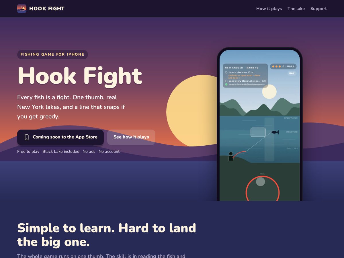 Landing-page snapshot of hookfight.com