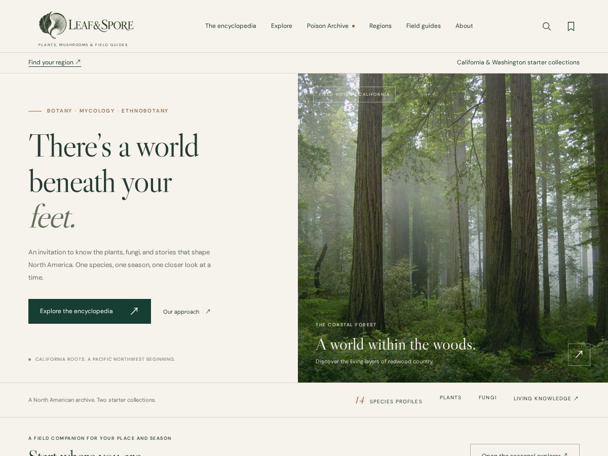 Landing-page snapshot of leafandspore.com