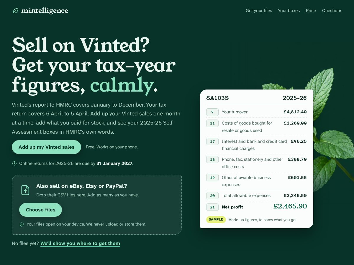 Landing-page snapshot of mintelligence.app