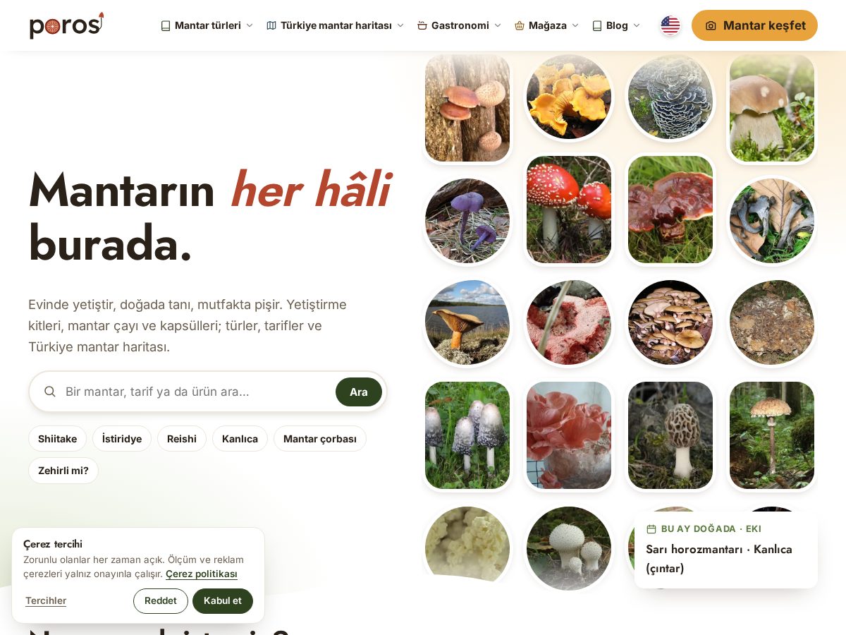 Landing-page snapshot of porosmantar.com