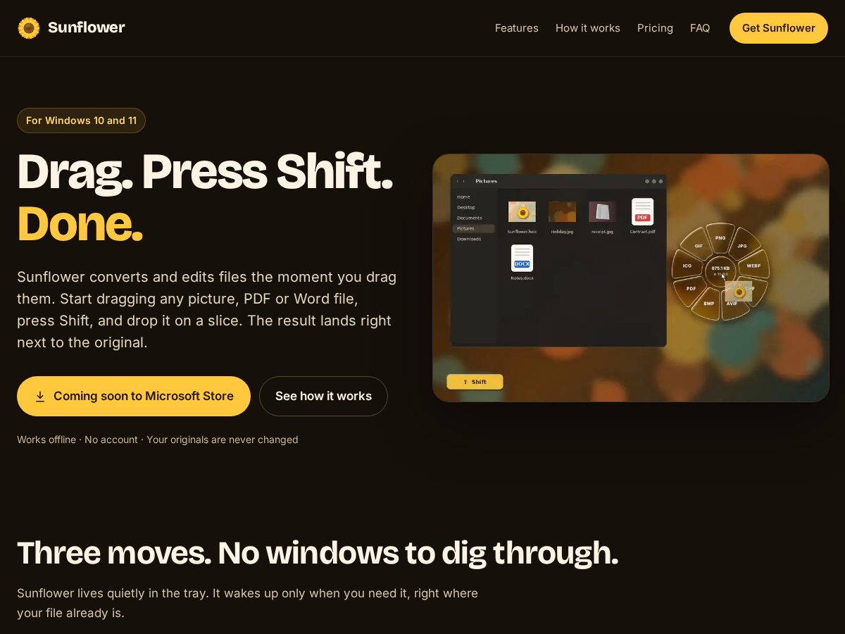 Landing-page snapshot of sunflower-fileswap.com