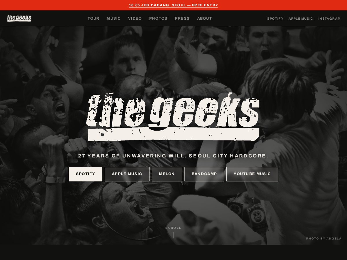 Landing-page snapshot of thegeekshc.cloud