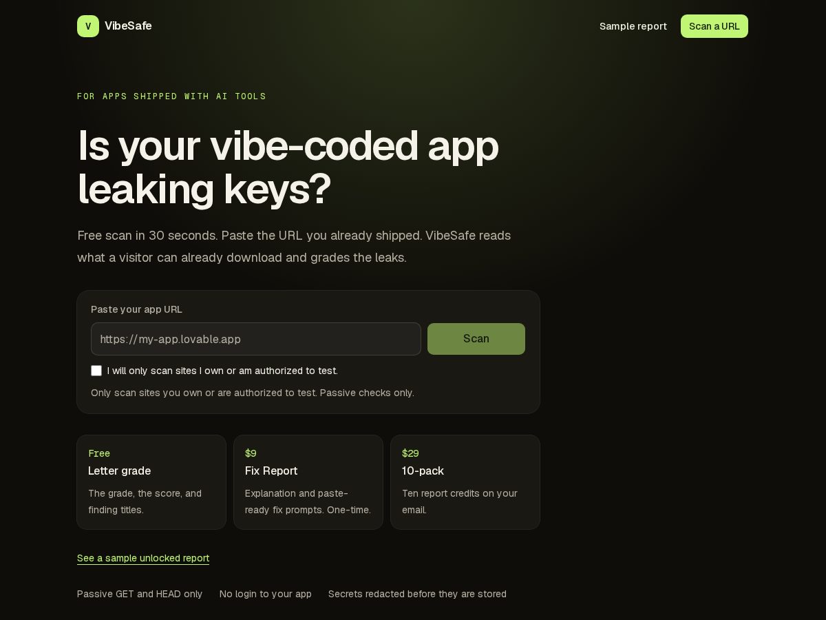 Landing-page snapshot of vibesafe.org
