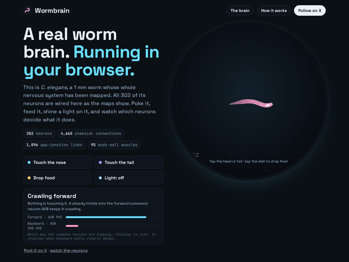 Landing-page snapshot of wormbrain.fun