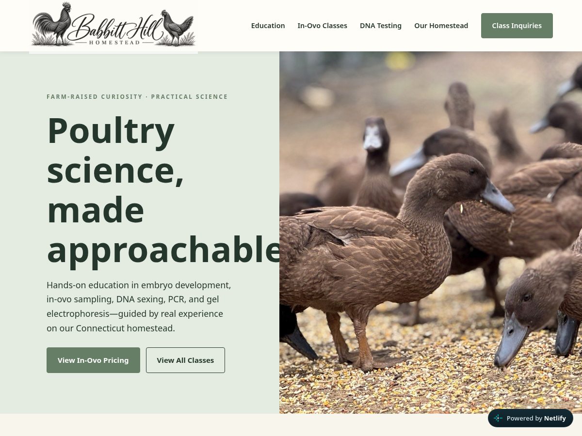 Landing-page snapshot of babbitthillhomestead.com