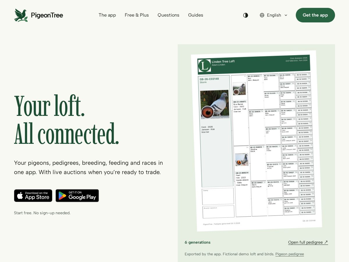 Landing-page snapshot of pigeontree.net
