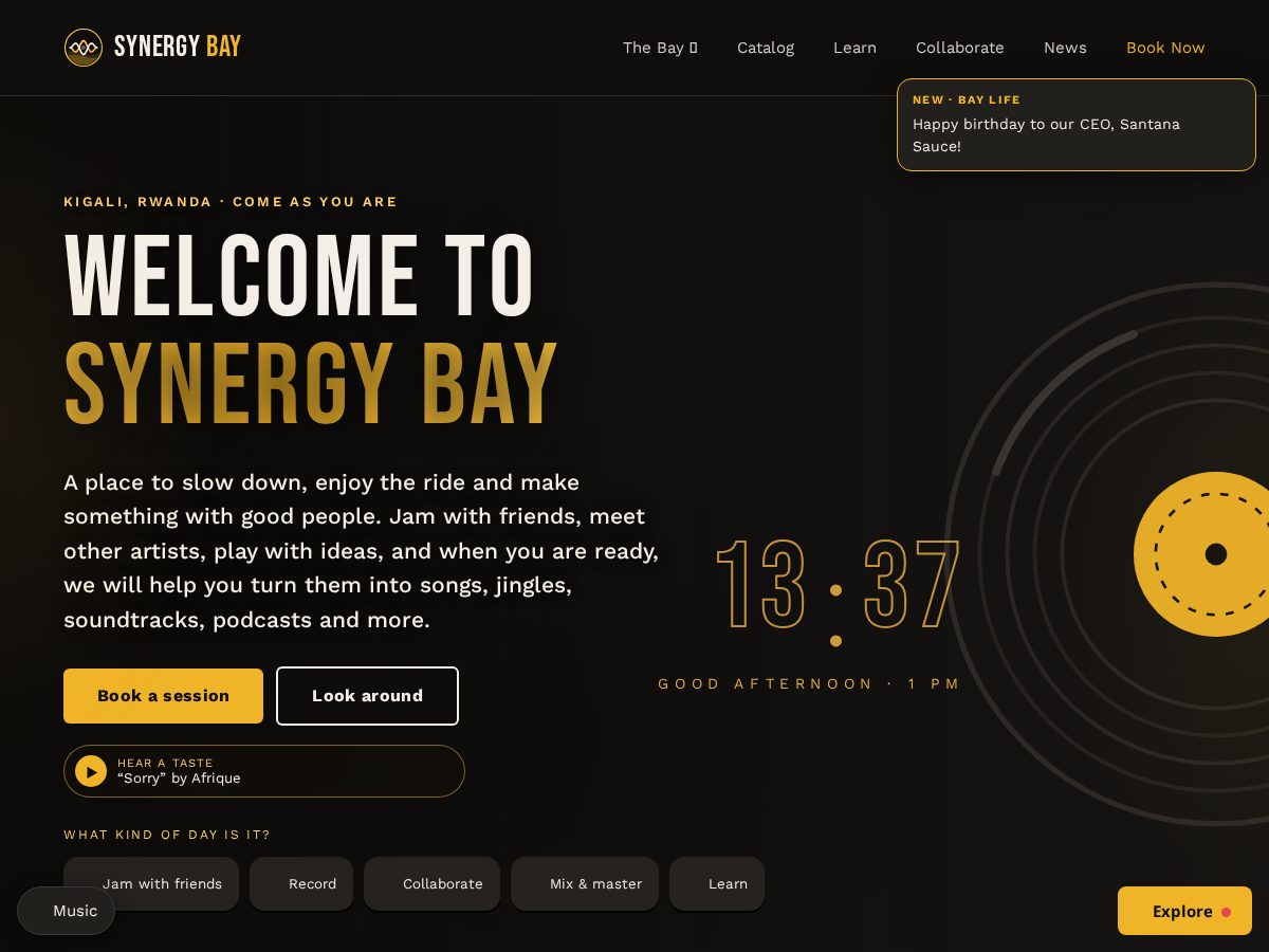 Landing-page snapshot of synergy-bay.com