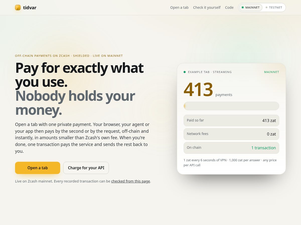 Landing-page snapshot of tidvar.site