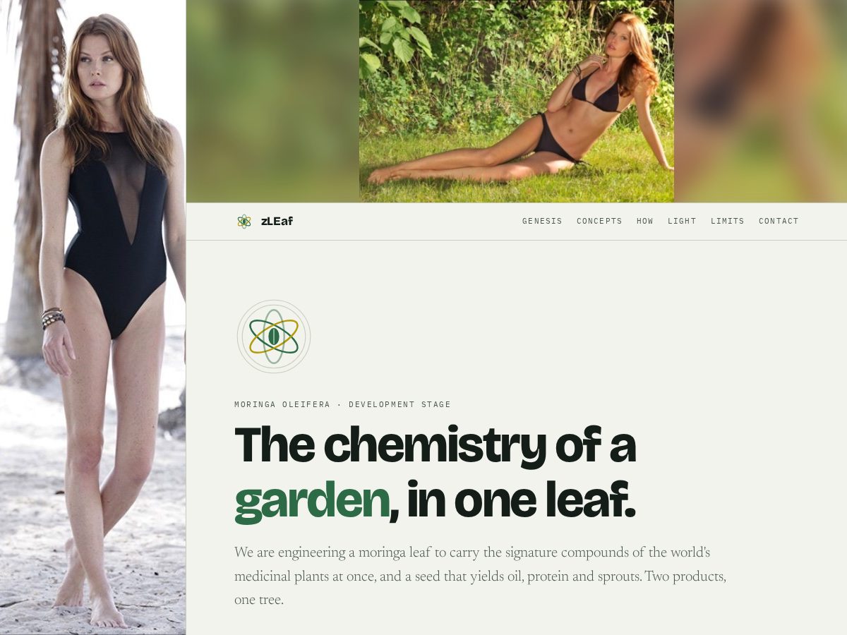 Landing-page snapshot of zleaf.net