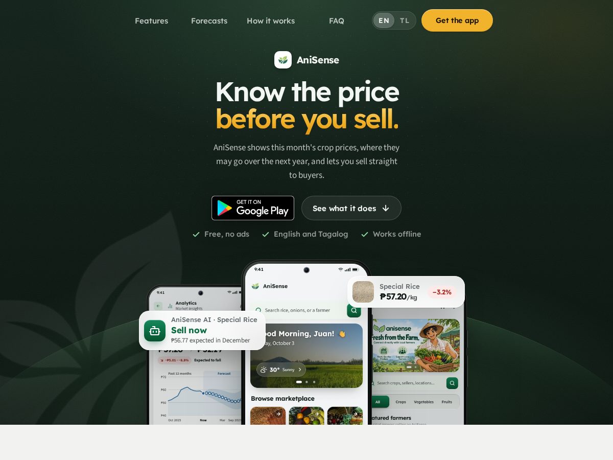 Landing-page snapshot of anisense.site