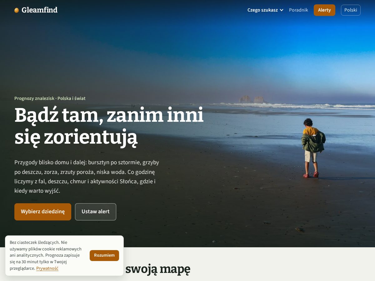 Landing-page snapshot of gleamfind.com