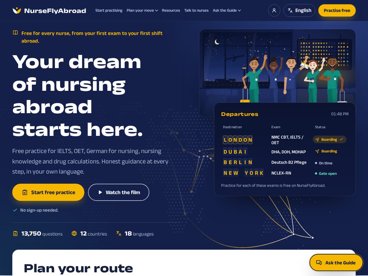 Landing-page snapshot of nurseflyabroad.com