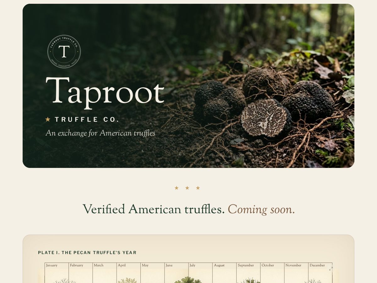 Landing-page snapshot of taproottruffle.com