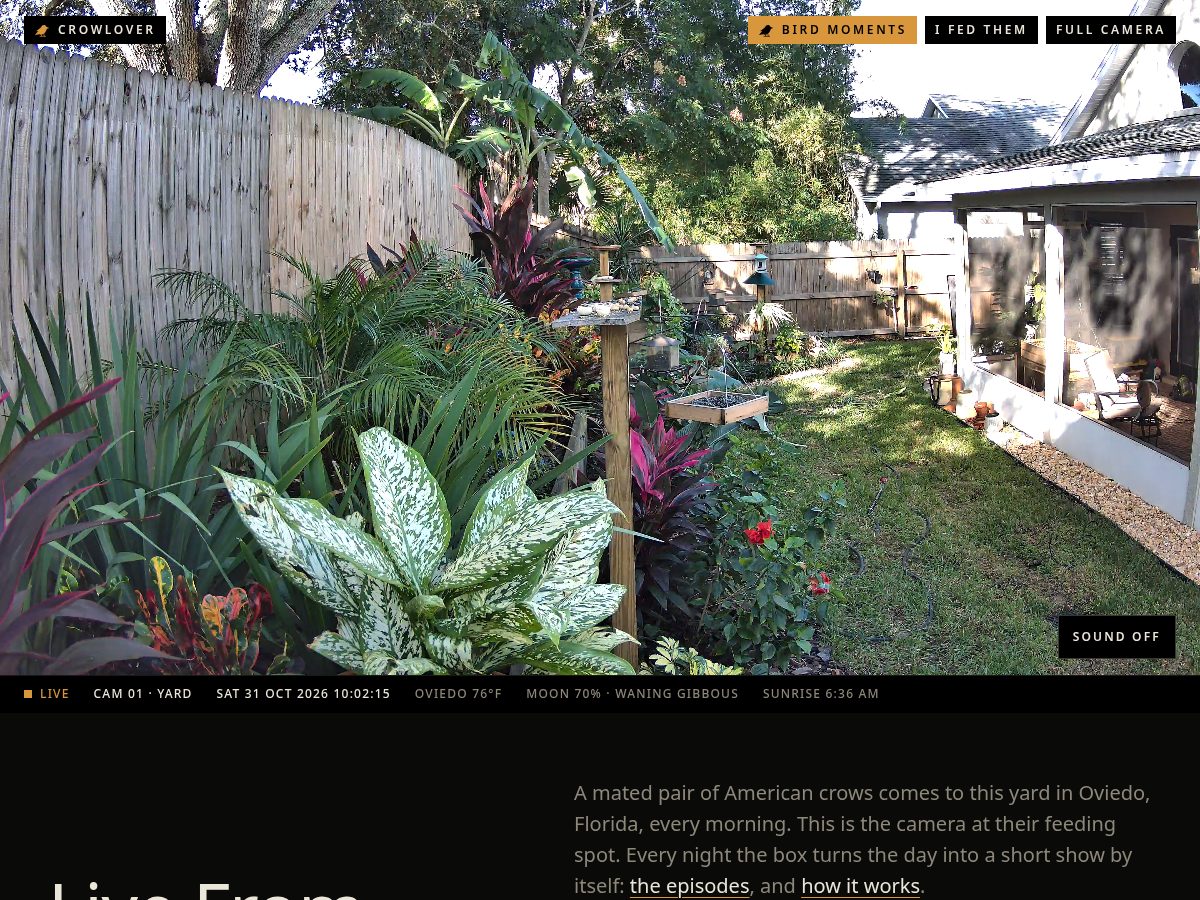 Landing-page snapshot of theabishbox.com
