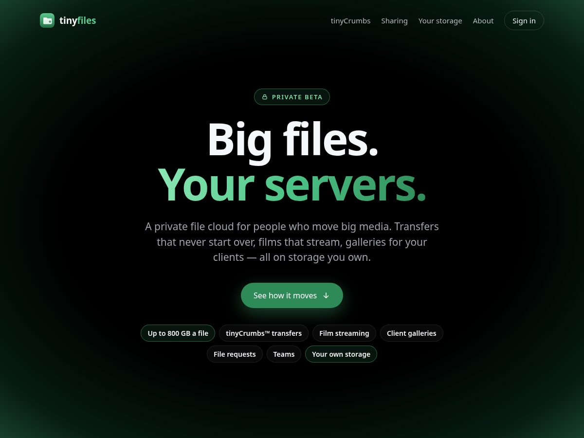 Landing-page snapshot of tinyfiles.app