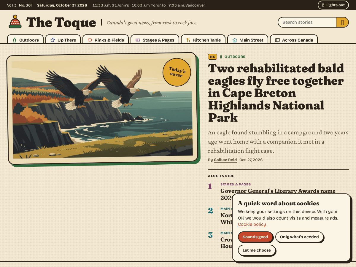 Landing-page snapshot of toquenews.info
