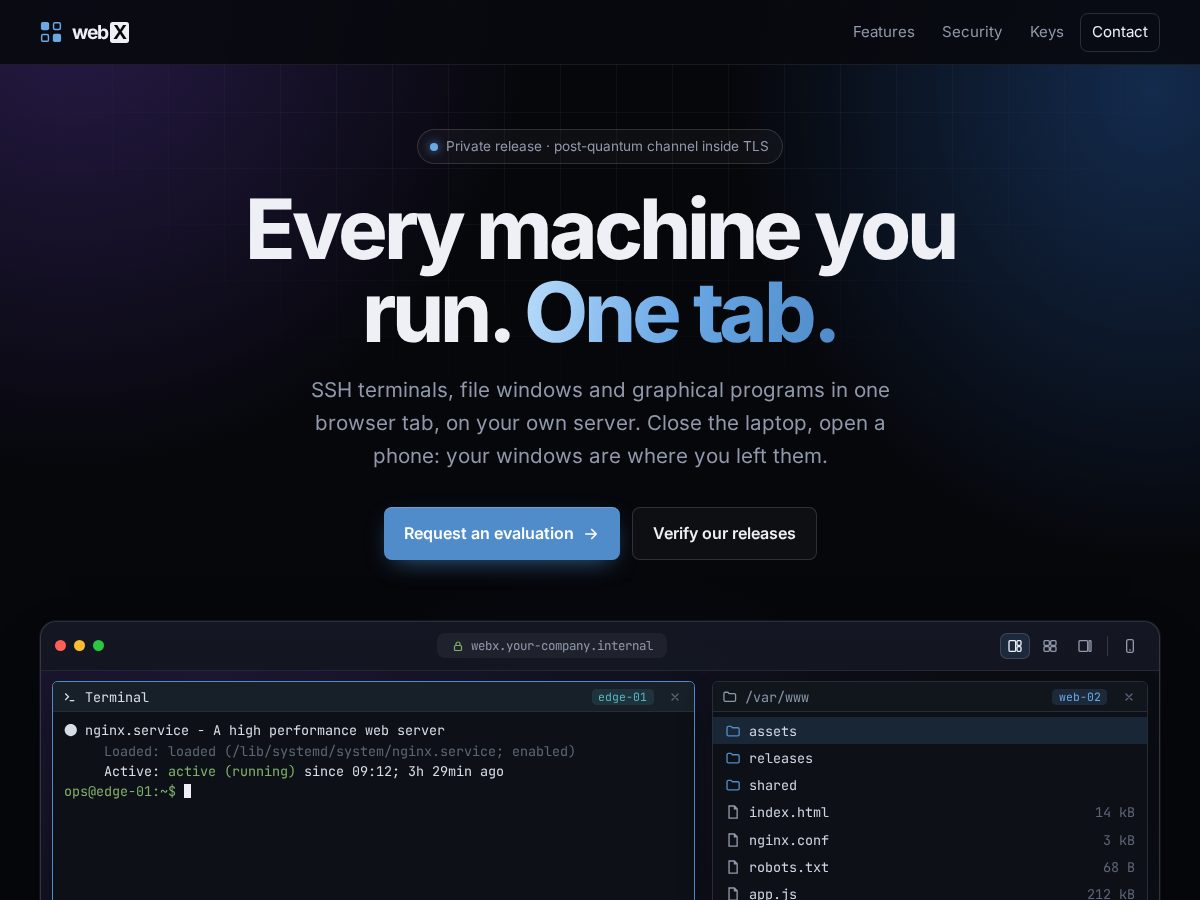 Landing-page snapshot of webxterm.com